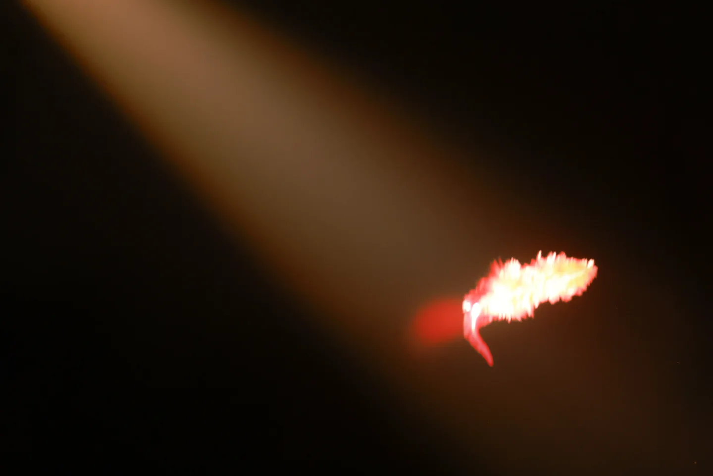 G44不会受伤_No_146_重返未来1999_斯奈德_39P_412MB tg@simisebaisi 【丝足阁】001.webp